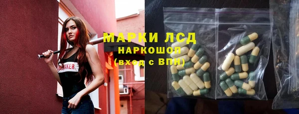 гидра Кодинск