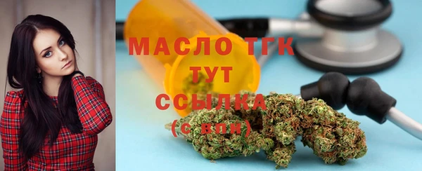 гидра Кодинск