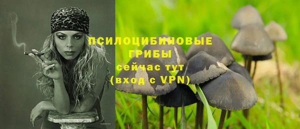 метамфетамин Козловка