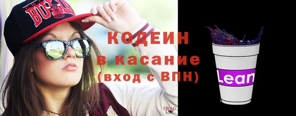 гидра Кодинск