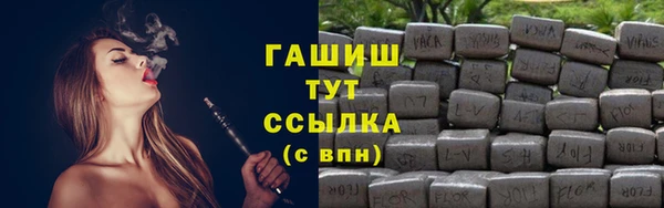 гидра Кодинск