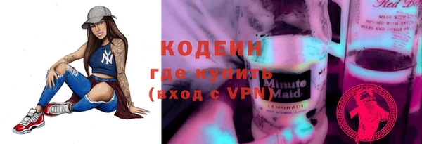 гидра Кодинск