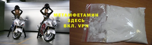 гидра Кодинск