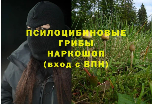 метамфетамин Козловка