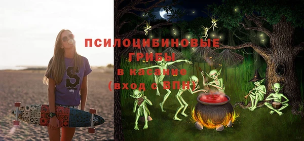 гидра Кодинск
