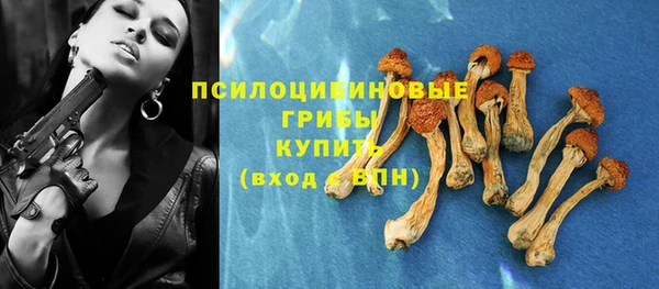 метамфетамин Козловка