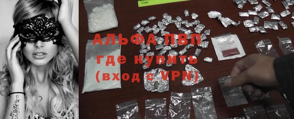 гидра Кодинск