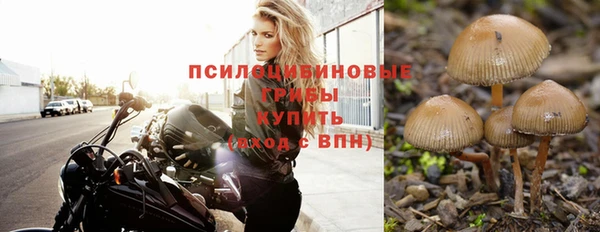 гидра Кодинск