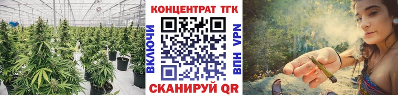 ТГК гашишное масло  Купить  Боровск 
