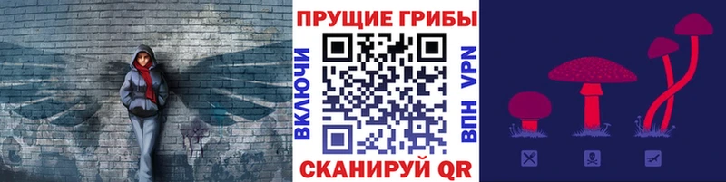 Купить  Боровск  Псилоцибиновые грибы Magic Shrooms 