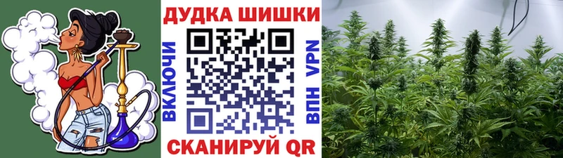 Купить  Боровск  Шишки марихуана план 